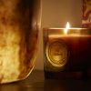 Fig Ambrette Candle